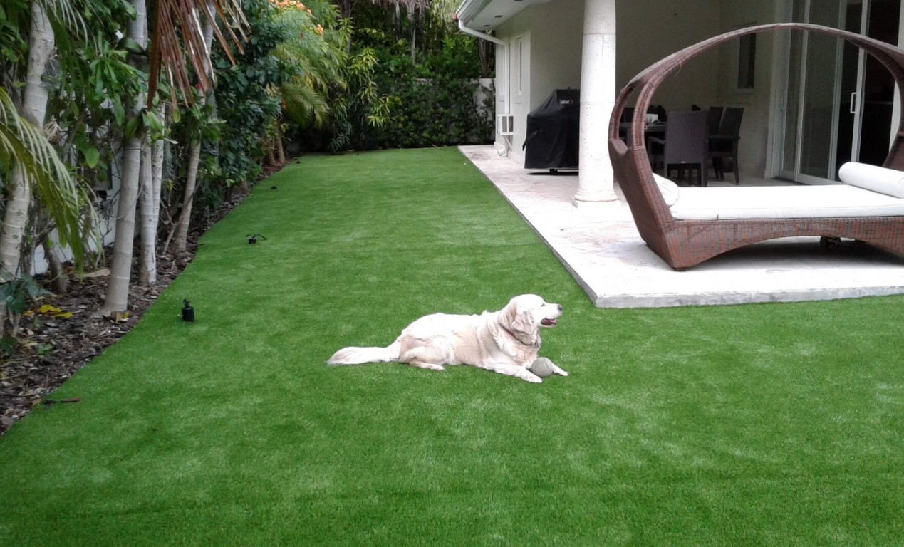 Pet-safe artificial turf with drainage in Paterson, NJ